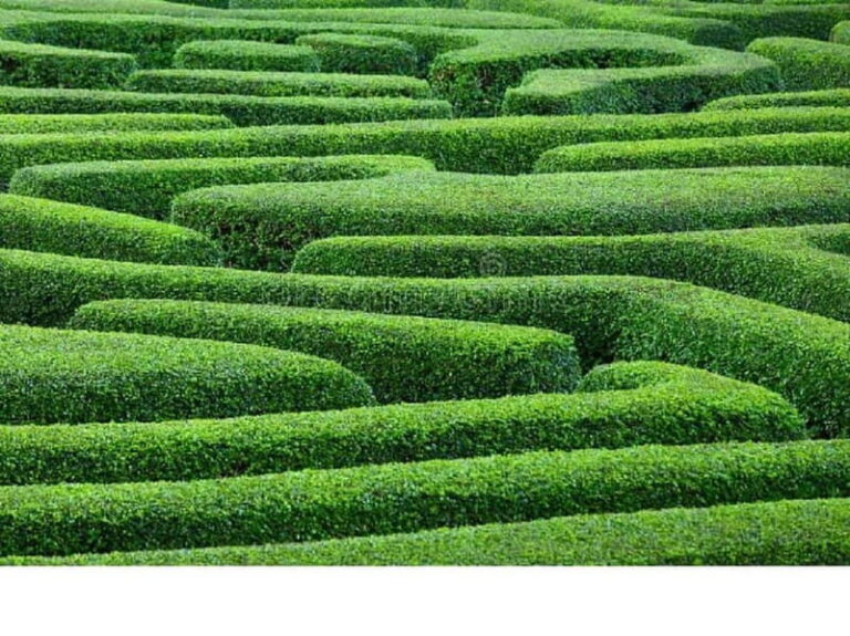 Ammochostos(:), Village Life Lover & Cyprus Gems-Region Trip - What Sets This Tour Apart?