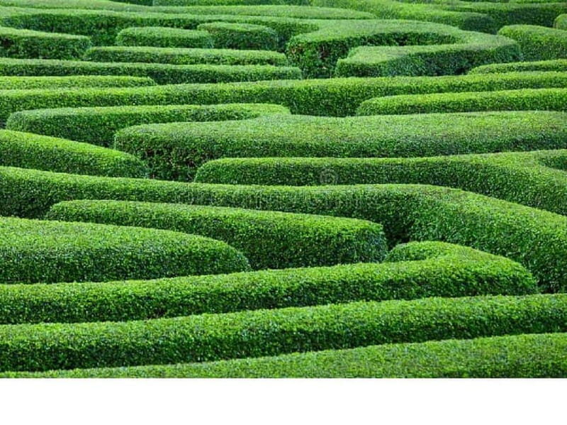 Ammochostos(:), Village Life Lover & Cyprus Gems-Region Trip - What Sets This Tour Apart?