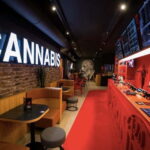 Amsterdam: Guided Ganja Walking Tour of Coffee Shops - Final Thoughts