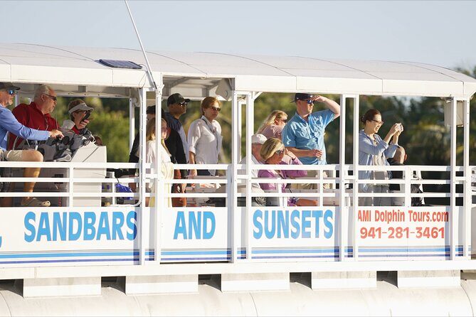 Anna Maria Island Dolphin Sightseeing Adventure - An In-Depth Look at the Experience