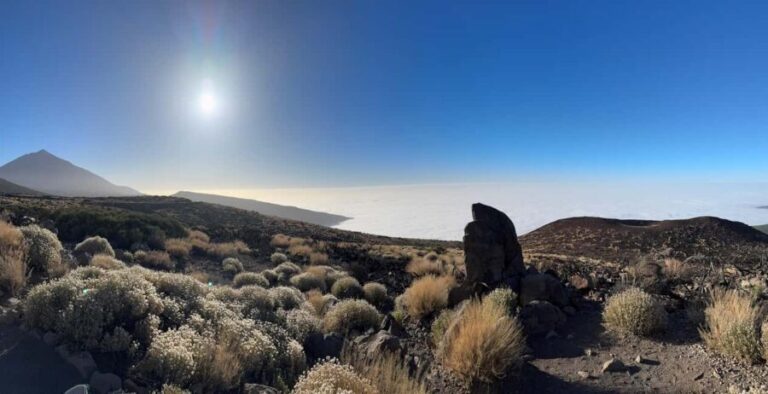 Ascend to Teide National Park on a quad bike from Puerto de la Cruz. - Who Will Love This Tour?