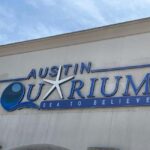 Austin Aquarium Entry Ticket - Is the Price Worth It?