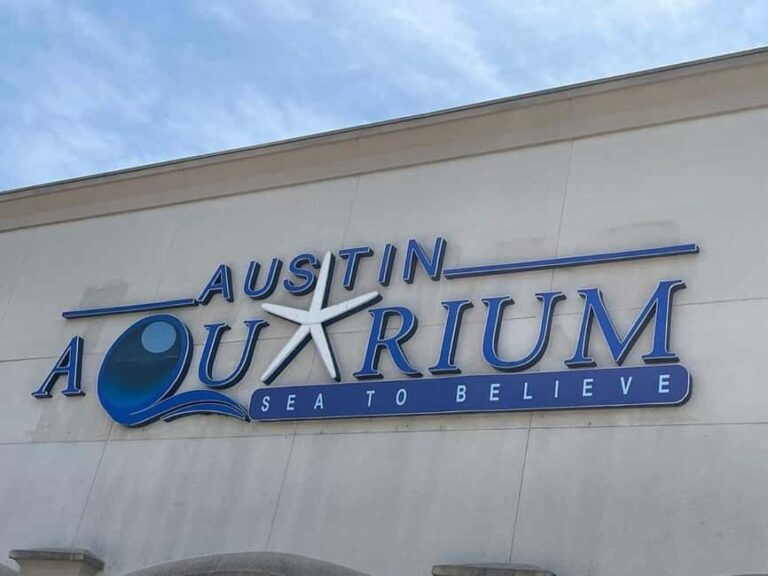 Austin Aquarium Entry Ticket - Is the Price Worth It?