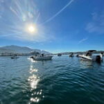 Azure Paradise: Blue Cave and Kotor Bay Boat Tour - The Highlights of the Tour