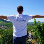 Baden-Baden: Private e-Mountainbike Tour with local Guide - The Tour Itinerary in Detail