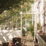 Ballymena: Walled Garden and Woodland Walk Entry Ticket - The Walled Garden at Glenarm Castle: A Detailed Overview