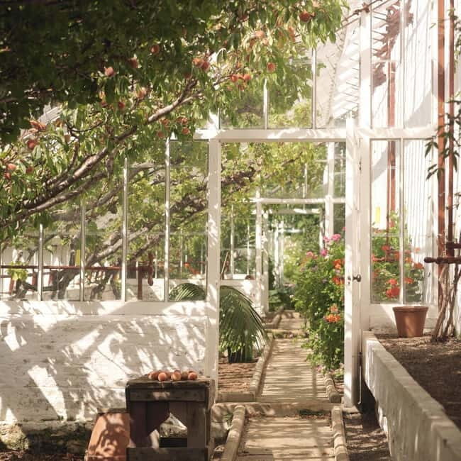 Ballymena: Walled Garden and Woodland Walk Entry Ticket - The Walled Garden at Glenarm Castle: A Detailed Overview