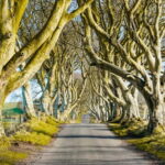 Belfast: Giant's Causeway, Dark Hedges, and Dunluce Castle - Transportation and Group Size