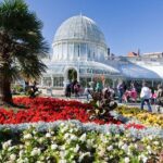 Bespoke Friars Bush Ancient Graveyard Tour - What Makes This Tour Stand Out?