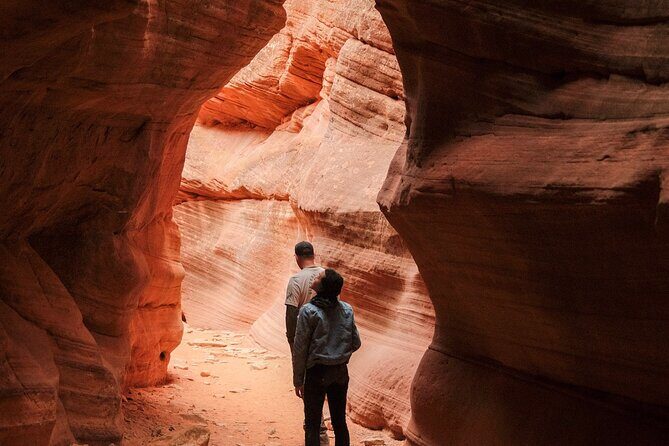 Best of the Best - Peekaboo & Great Chamber - What’s Included, and What’s Not