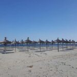 Boat trip to the Danube's mouth at the Black Sea - Detailed Itinerary Breakdown