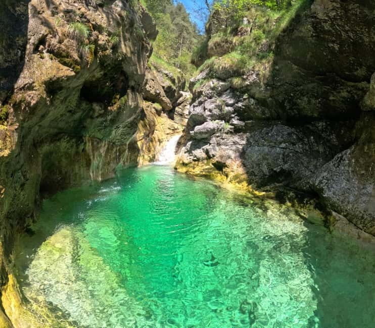 Bovec: Ronek Stream Canyoning Adventure - Authentic Experiences and Insights from Past Participants