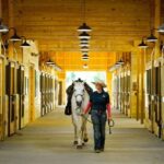 Branson: Dogwood Canyon Nature Park - Is It Worth the Price?