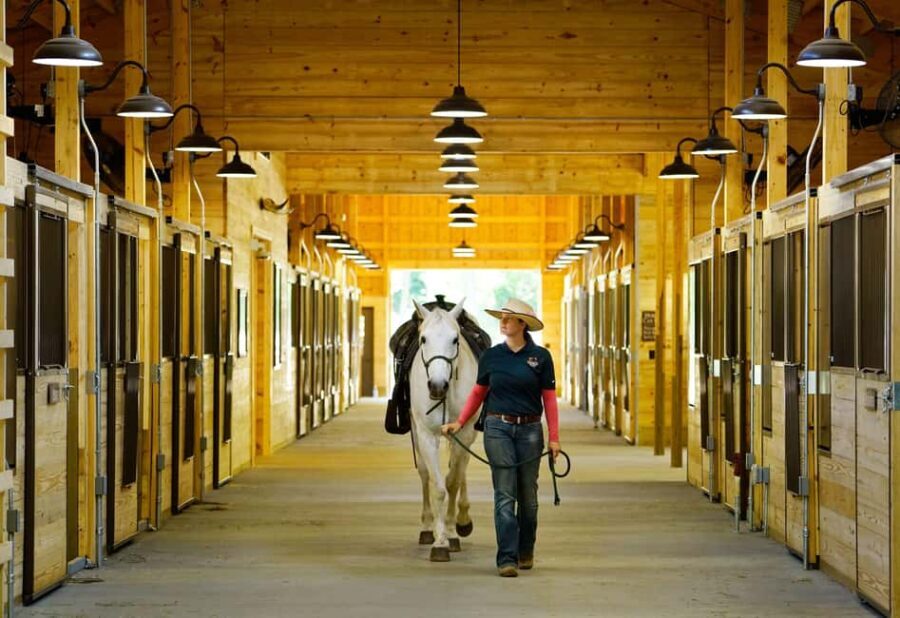 Branson: Dogwood Canyon Nature Park - Is It Worth the Price?