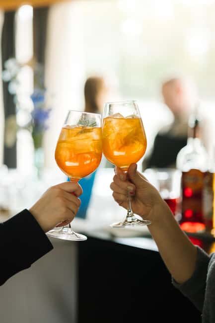 Bratislava: Gourmet Goose Dinner with Cruise on Danube - Who’s This Tour Best For?