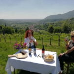 Brescia: Day trip to Botticino, new historical winetasting - Who Will Love This Tour?