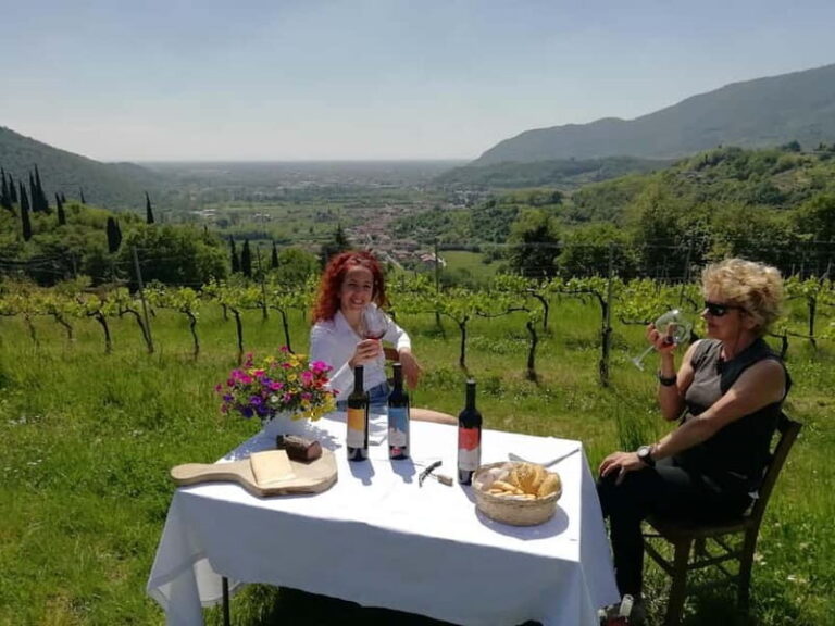 Brescia: Day trip to Botticino, new historical winetasting - Who Will Love This Tour?