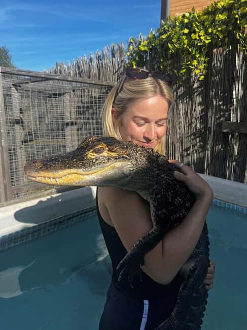 Bristol: Swimming with Crocodiles coffee and cake - The Itinerary Breakdown