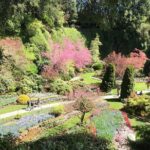 Butchart & Beyond: The Grand Victoria Tour - Why This Tour Is For You