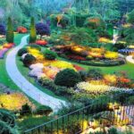 Butchart Gardens and City Highlights Private tour - Exploring Chinatown and Fan Tan Alley