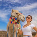 Cabo Camel Ride, Mexican Buffet and Tequila Tasting - What We Loved About the Tour