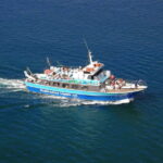 Can Picafort: Boat trips along the north coast of Mallorca - The Value of the Experience