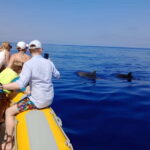 Can Picafort or Alcudia: Private boat - The Experience: What to Expect on the Private Boat Tour