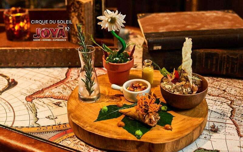 Cancún: Cirque du Soleil JOYÀ Entry Ticket and Transfer - Practical Tips for Travelers