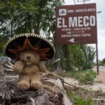 Cancun Guided Sightseeing El Meco Site, Letters and Shopping - Who Will Enjoy This Tour?