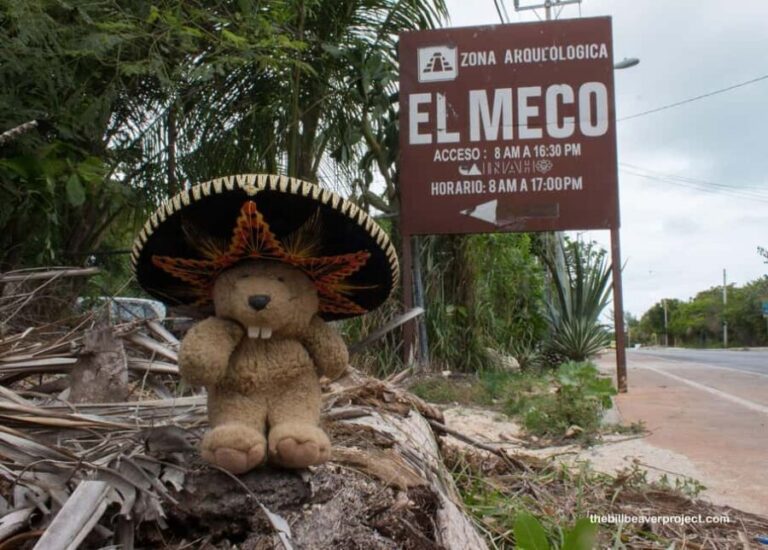 Cancun Guided Sightseeing El Meco Site, Letters and Shopping - Who Will Enjoy This Tour?
