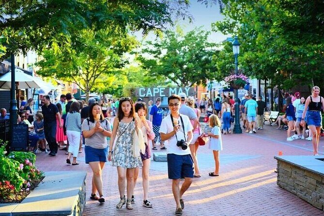 Cape May Walking Tour - Authentic Reviews and Insights