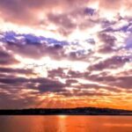 Capture LA's Coastal Magic-Wildlife, Marina Photography Tour - An In-Depth Look at the Tour Experience