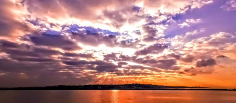 Capture LA's Coastal Magic-Wildlife, Marina Photography Tour - An In-Depth Look at the Tour Experience
