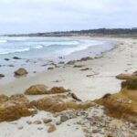 Carmel Drive Tour - Accessibility, Flexibility, and Convenience