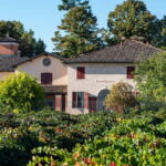 Castelvetro: winery tour and Lambrusco tasting - Practical Details and Considerations