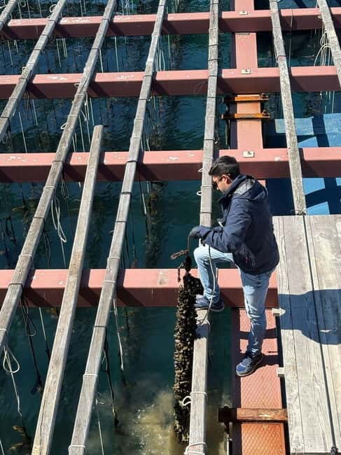 Catamaran trip and visit to the mussel nurseries with a snack - What’s Included and What to Consider