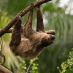 Central Park Zoo Skip-the-line Tickets & Private Transfers - Who Would Enjoy This Tour?