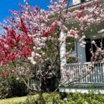 Charleston History Tour / - Final Thoughts