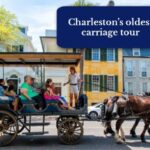 Charleston, SC: Private Daytime Horse-Drawn Carriage Ride - Value for Money
