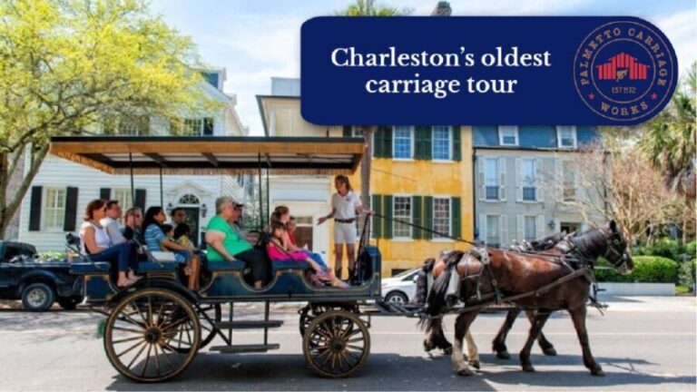 Charleston, SC: Private Daytime Horse-Drawn Carriage Ride - Value for Money