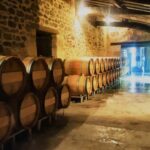 Château Cantelaube: tour and tasting at an unusual wine estate - An authentic taste of Saint Emilion at Château Cantelaube