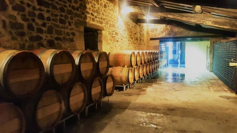 Château Cantelaube: tour and tasting at an unusual wine estate - An authentic taste of Saint Emilion at Château Cantelaube
