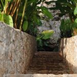 Choose your experience to live in Los 7 Cenotes San Gerónimo - Why This Tour Offers Excellent Value