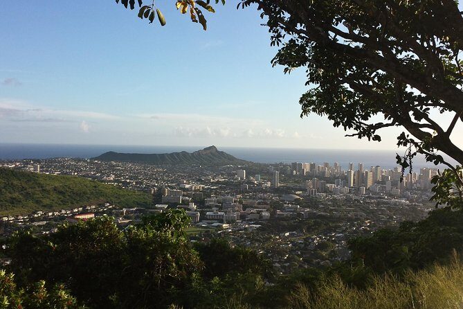 Circle Island 8hr Private Small Group Tour - The Experience & What It Means for You