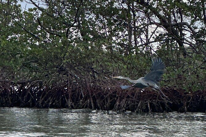 Clear Kayak RentalPeanut Island/West Palm Beach - The Experience Itself: Breaking Down the Day