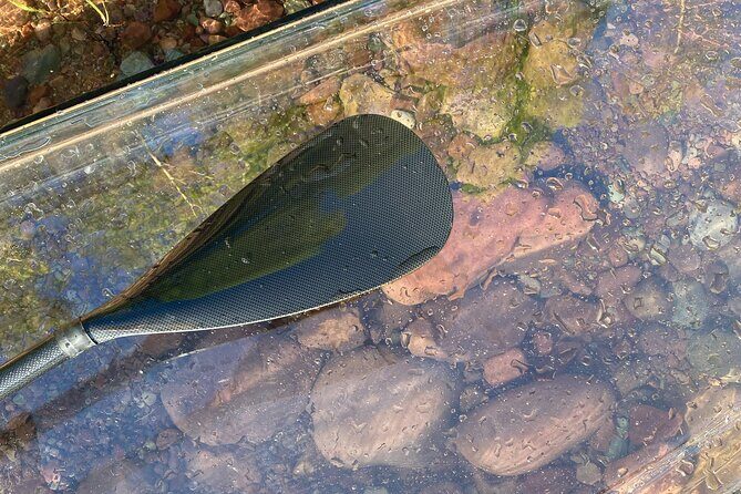 Clear Paddleboard Rentals for Glacier Park - Who Is This Experience Best For?