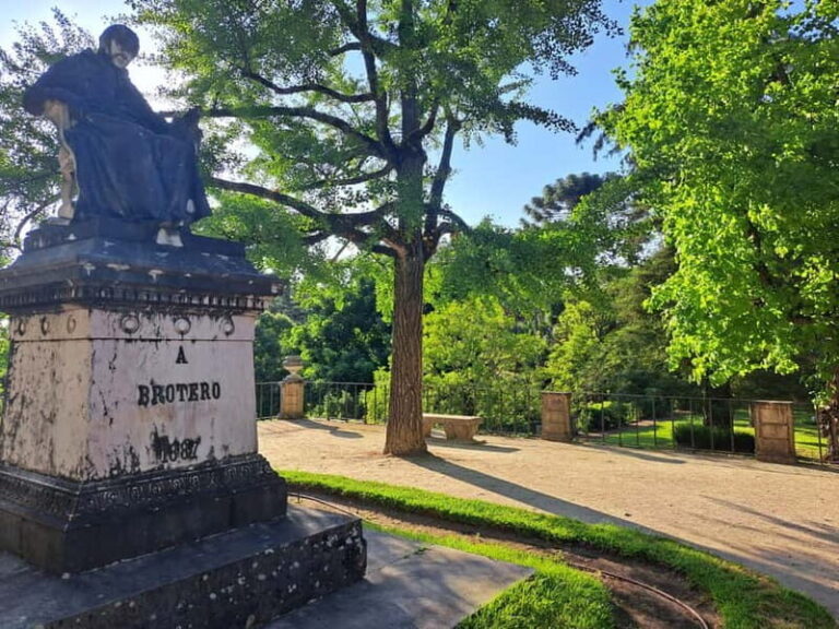 Coimbra Botanical Garden Tour: Storytelling Through Nature - Why Choose This Tour?