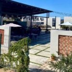 Colors of Ensenada Painting and Wine - Who Will Love This Tour?