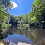 Combo ticket: Ernst Fuchs Museum & Otto Wagner Complex with smartphone guide - Authentic Insights from Reviewers