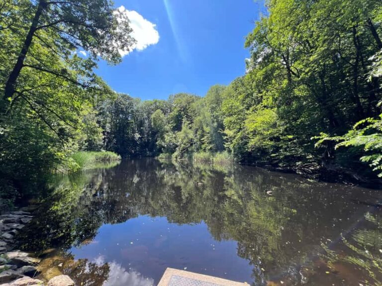 Combo ticket: Ernst Fuchs Museum & Otto Wagner Complex with smartphone guide - Authentic Insights from Reviewers